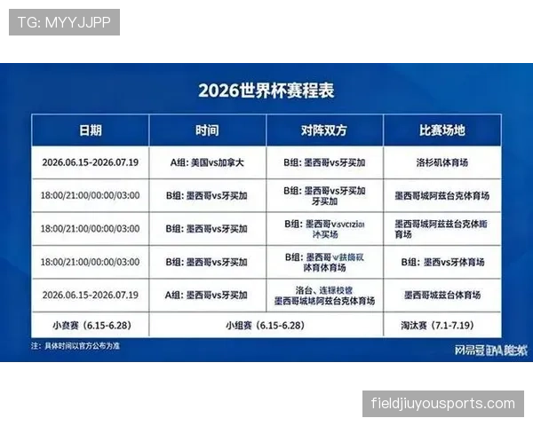 2026世界杯官方小组比较解析